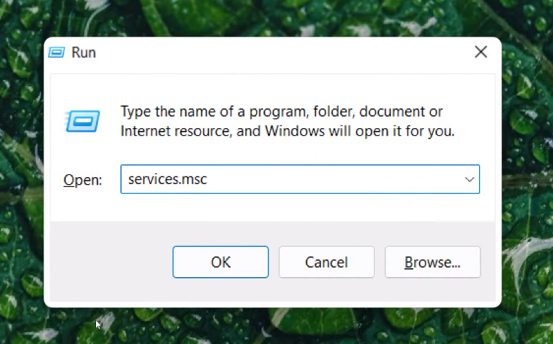 open-services